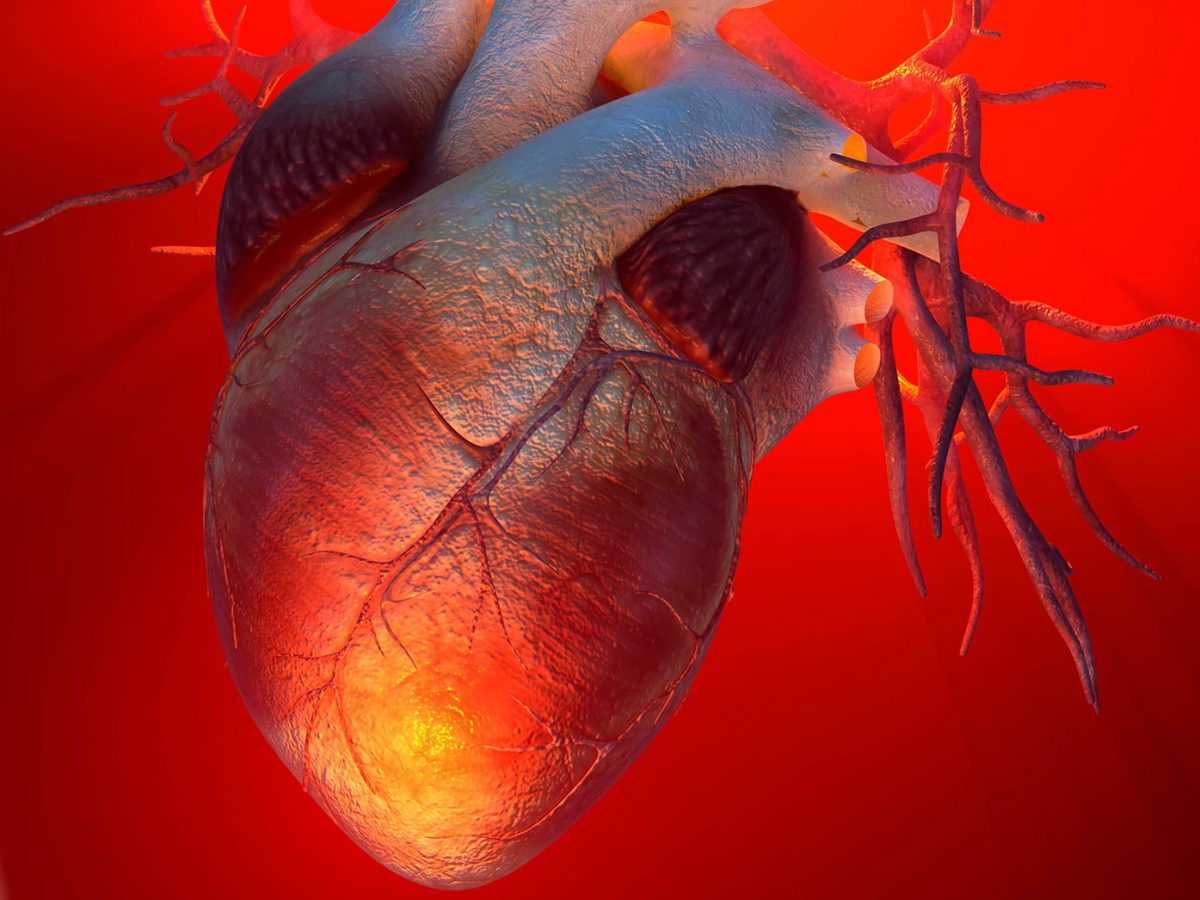 heart