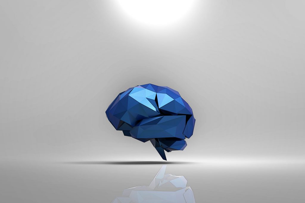 Brain.