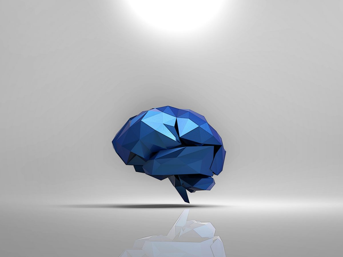 Brain.