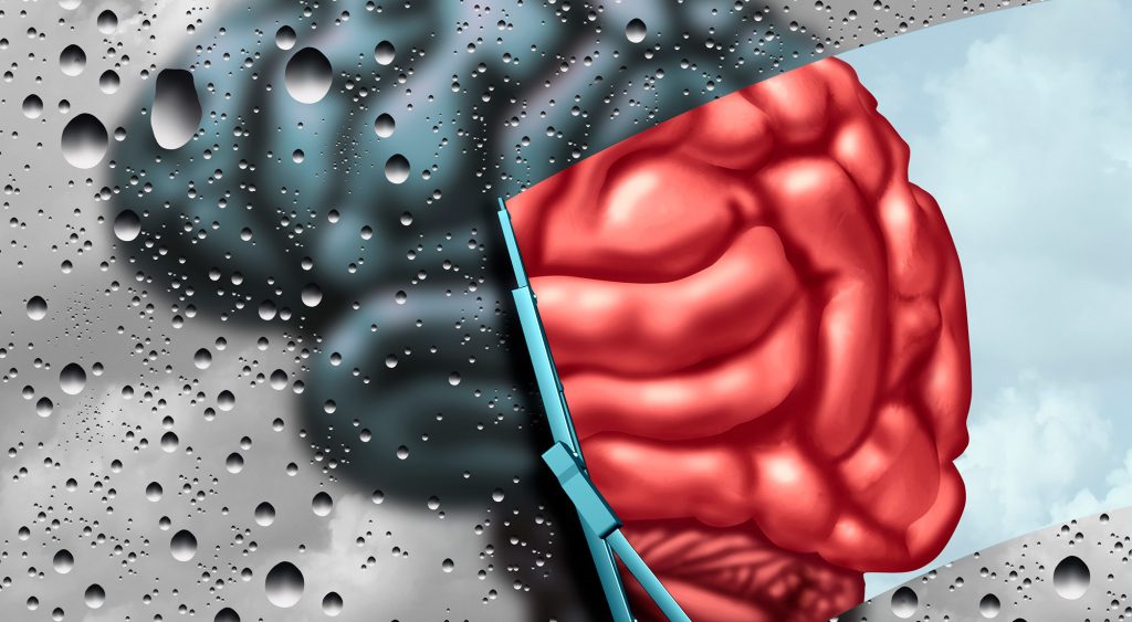 Brain.
