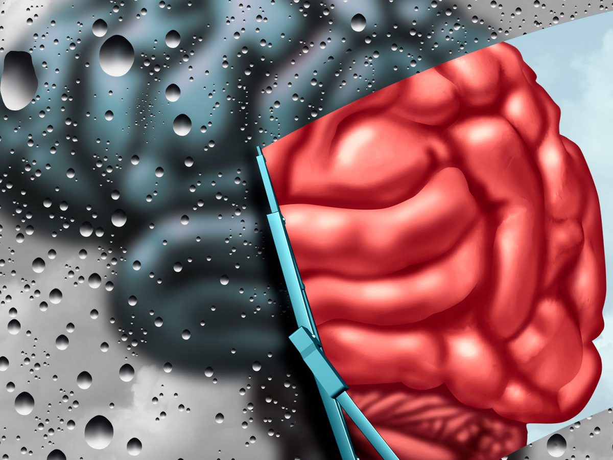 Brain.