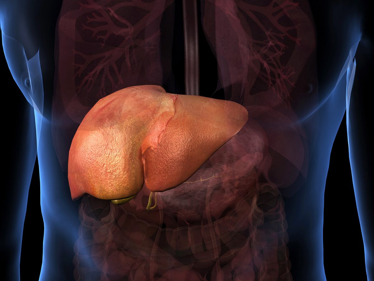 Liver.