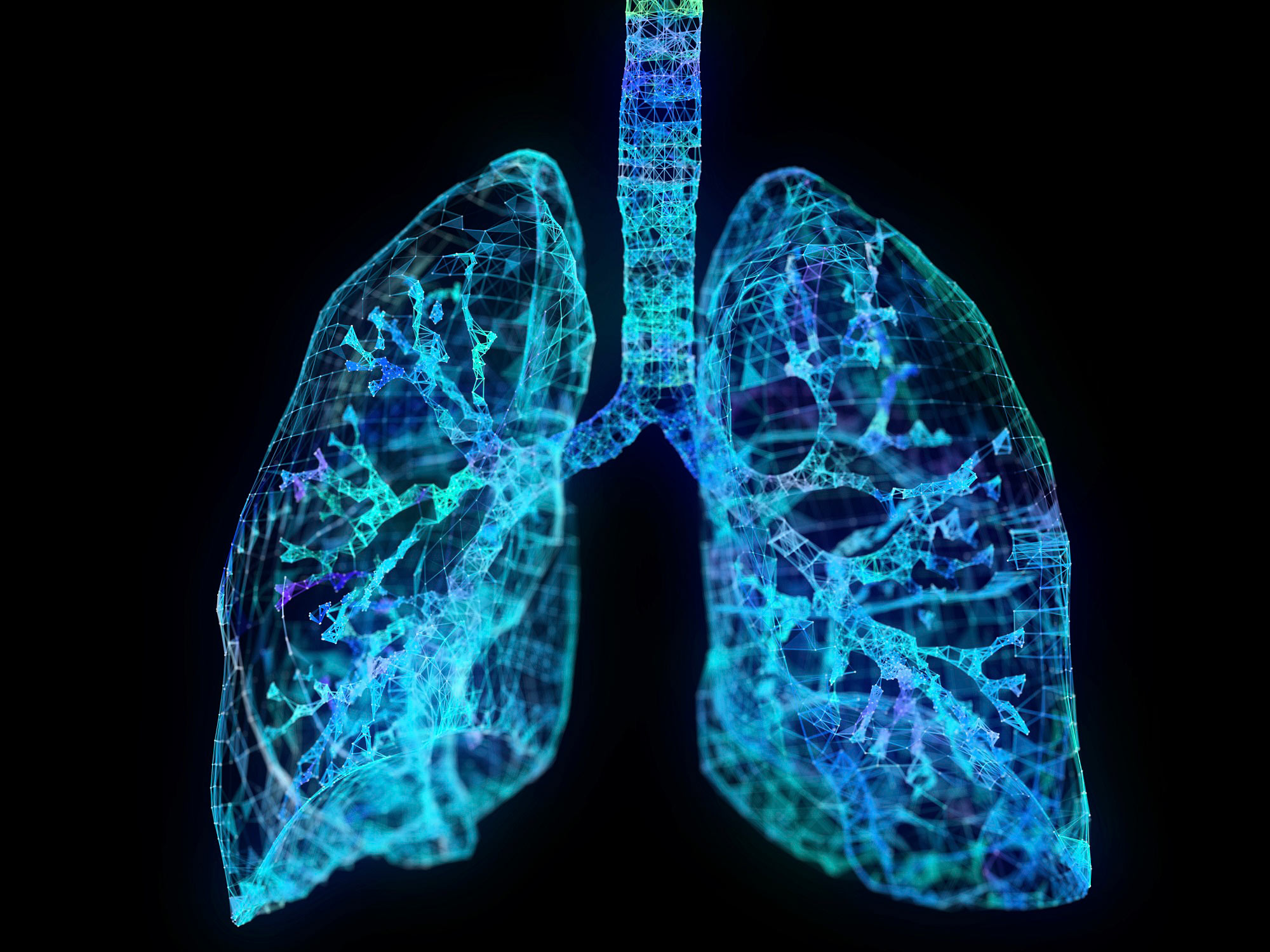 Lungs.