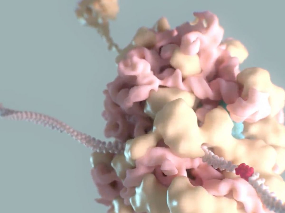 Alltrna.