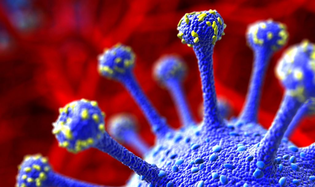 coronavirus