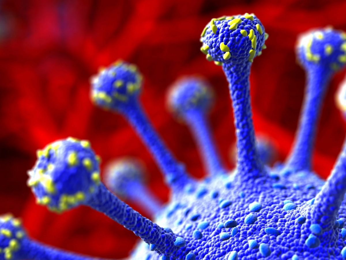 coronavirus