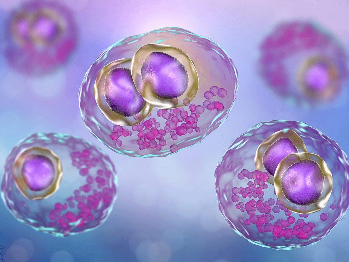 cytomegalovirus