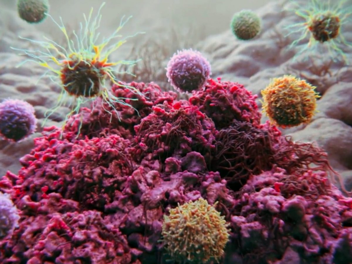 GammaDelta Therapeutics.