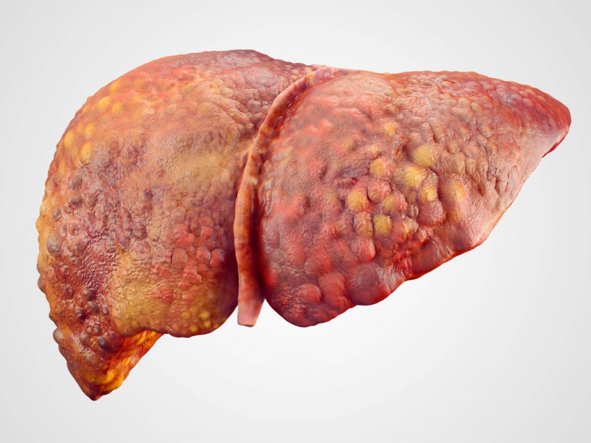 liver