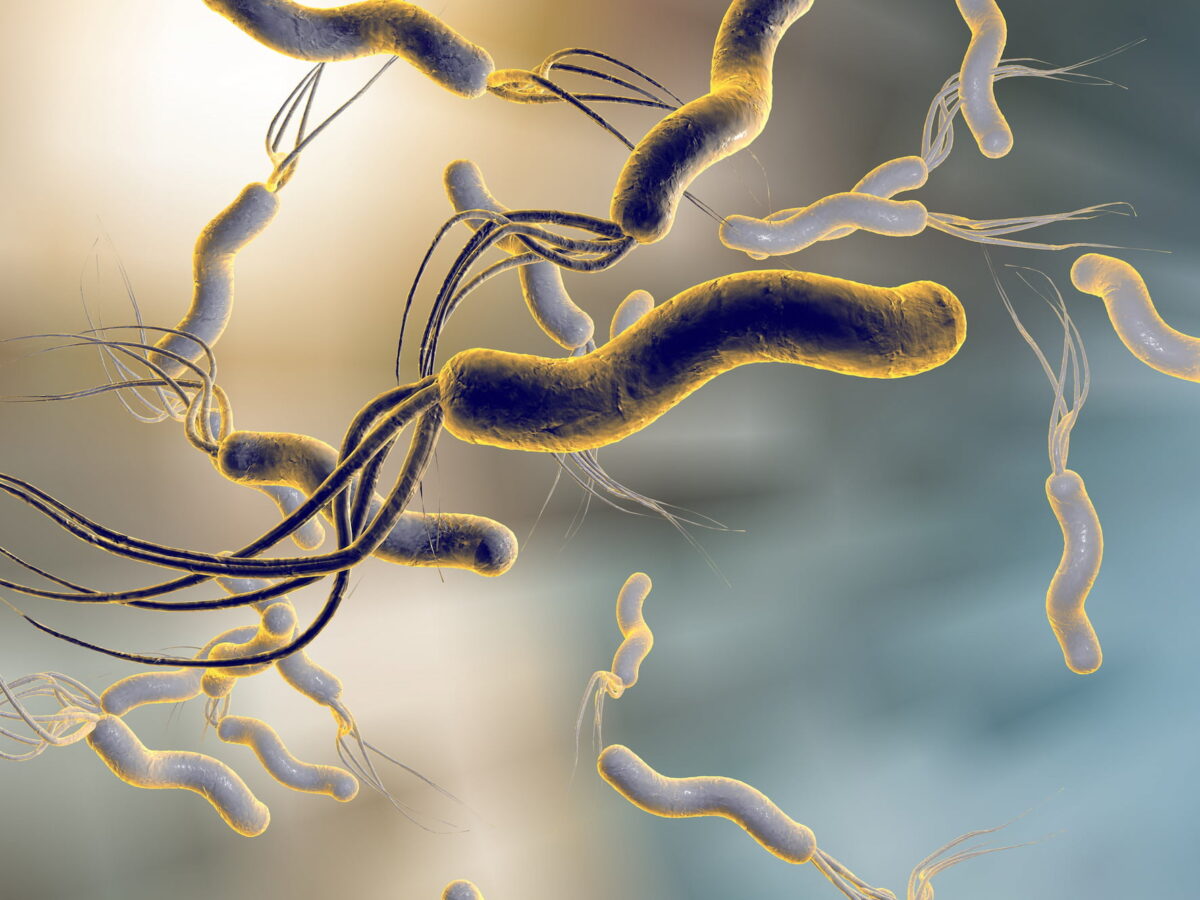 helicobacter-pylori