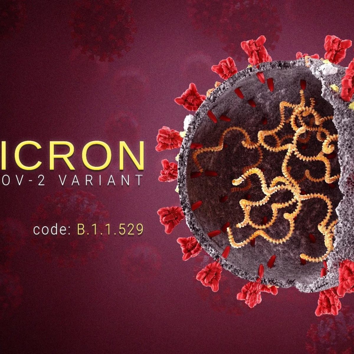 Omicron Treatment: Most Effective Drugs