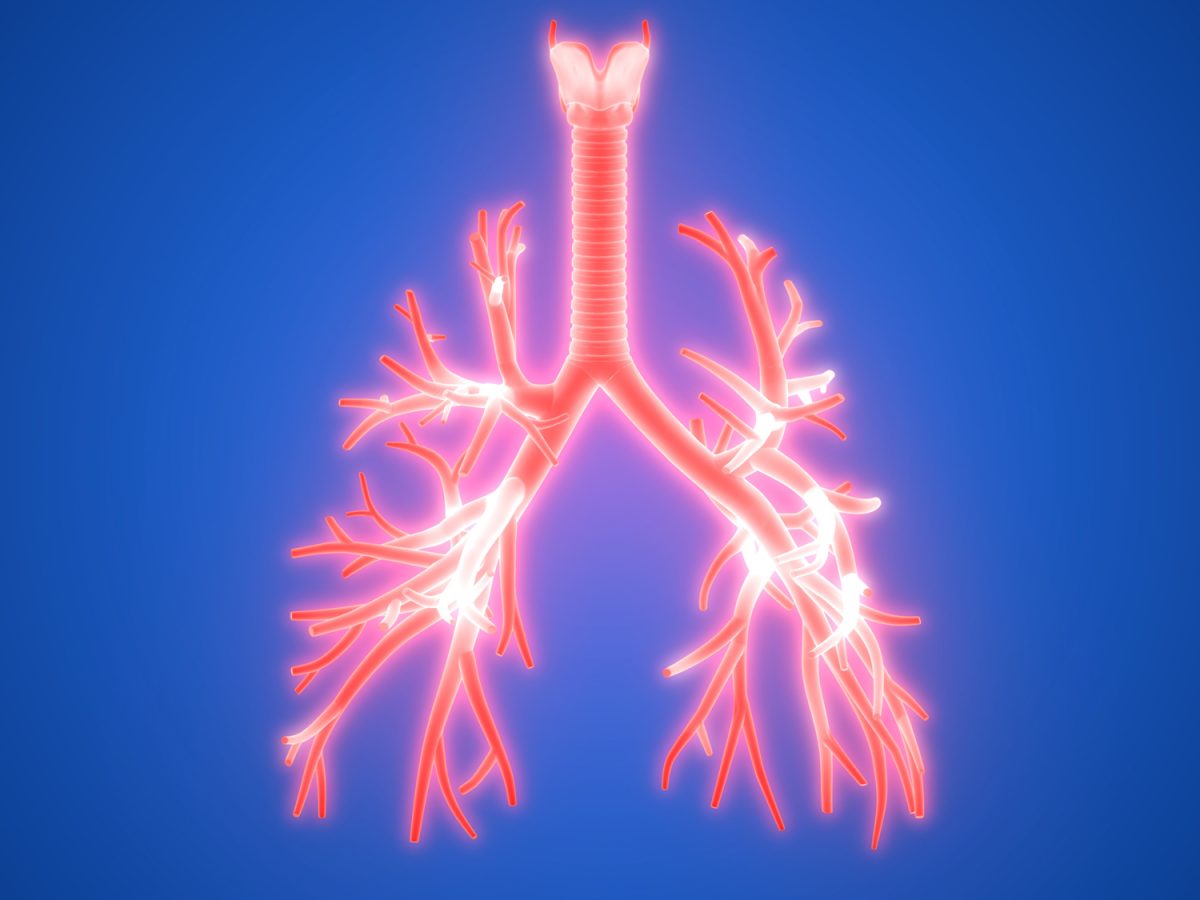 Wynayre/Wynfidra: Brand New Drug for COPD Maintenance Therapy