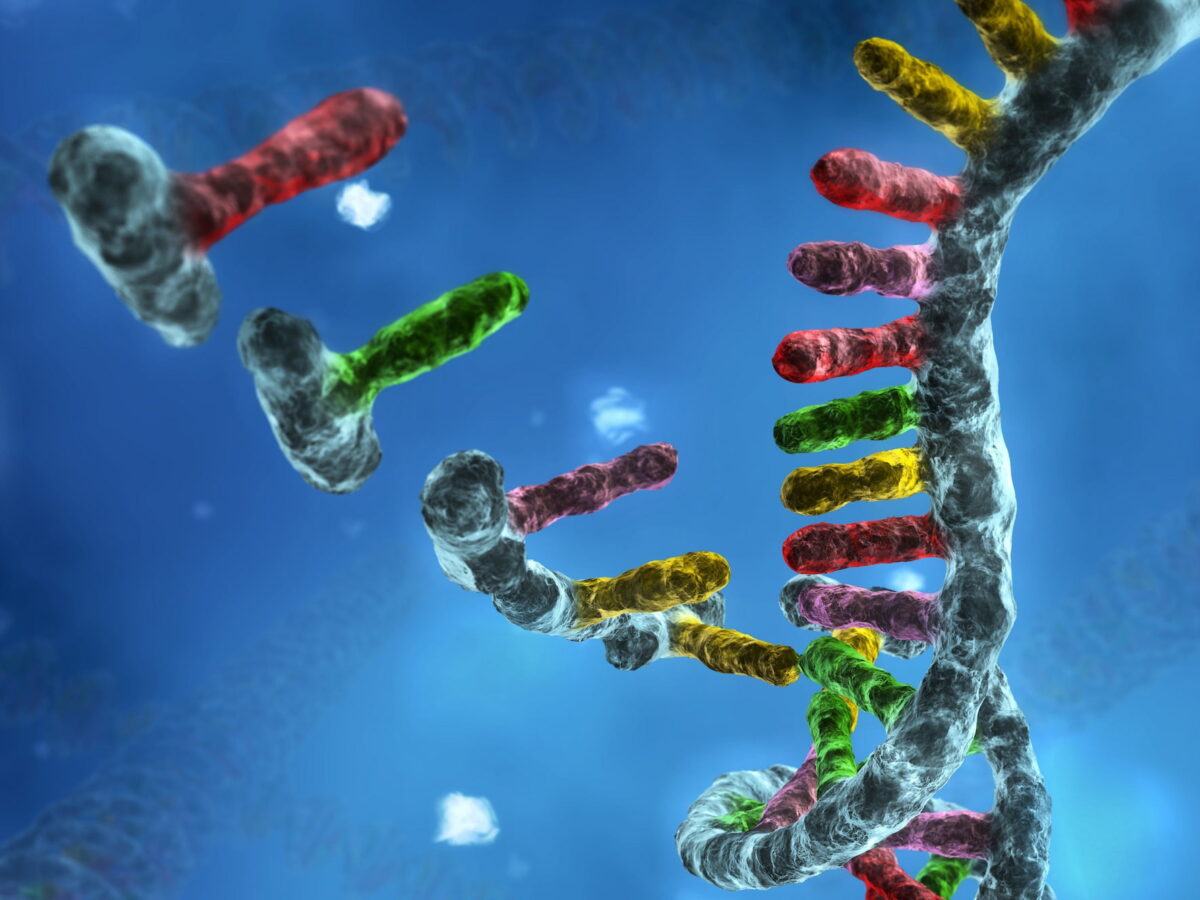 Skysona: Gene Therapy for Cerebral Adrenoleukodystrophy