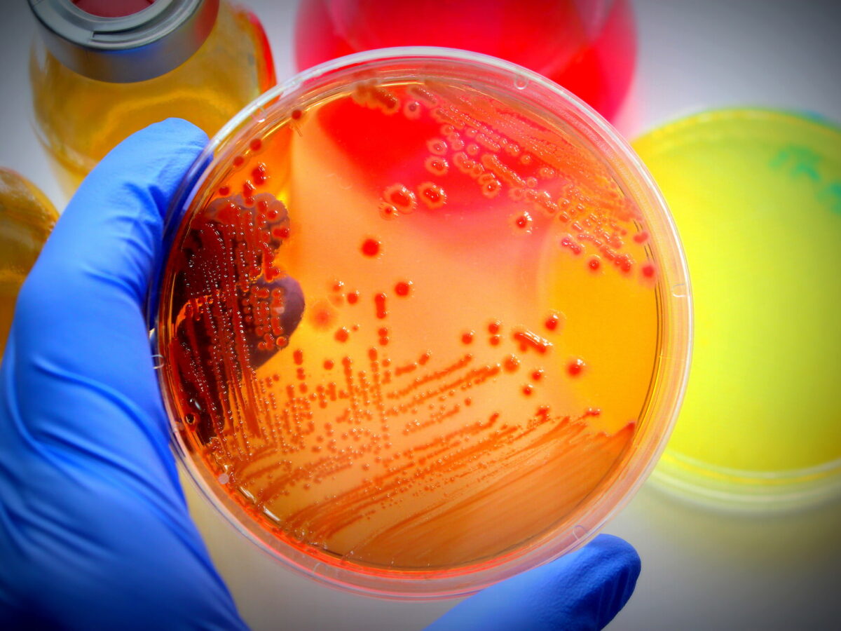 Cresomycin: Breakthrough Antibiotic That Will Save Millions of Lives